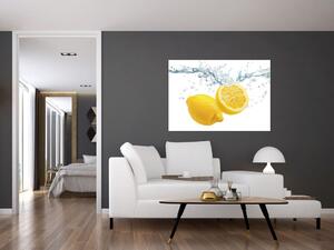 Citron- Obraz (Obraz 60x40cm)