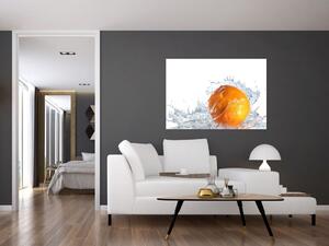 Obraz pomaranče (Obraz 60x40cm)