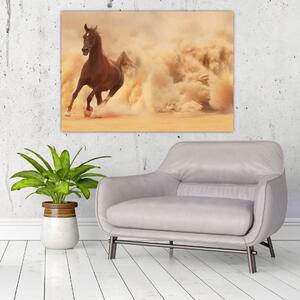Cválajúci kôň - obraz (Obraz 60x40cm)