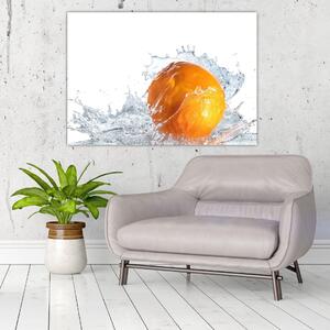 Obraz pomaranče (Obraz 60x40cm)