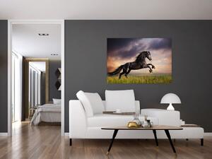 Kôň - obraz (Obraz 60x40cm)