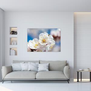 Kvet čerešne - obraz (Obraz 60x40cm)