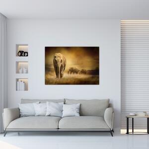 Obraz slona (Obraz 60x40cm)
