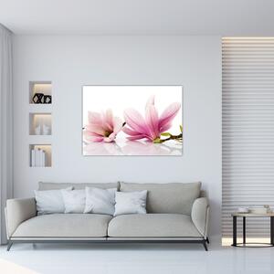 Kvetina - obraz (Obraz 60x40cm)