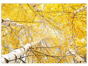 Jesenné lístie - moderný obraz (Obraz 60x40cm)