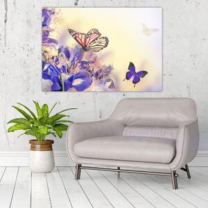 Motýle - obraz (Obraz 60x40cm)