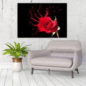 Abstraktný obraz ruža - obraz (Obraz 60x40cm)