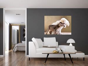 Mačiatko a šteňa - obraz (Obraz 60x40cm)