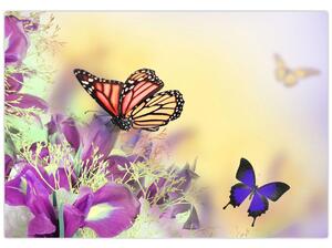 Motýle - obraz (Obraz 60x40cm)