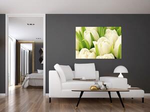 Detail tulipánov - obraz (Obraz 60x40cm)