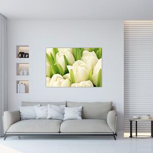 Detail tulipánov - obraz (Obraz 60x40cm)