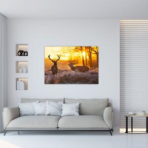 Jelene - obraz (Obraz 60x40cm)