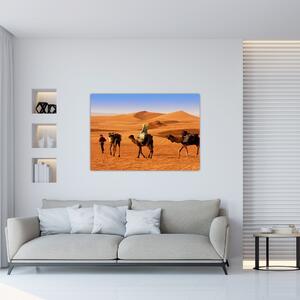 Ťavy v púšti - obraz (Obraz 60x40cm)
