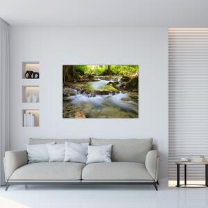 Rieka v lese - obraz (Obraz 60x40cm)