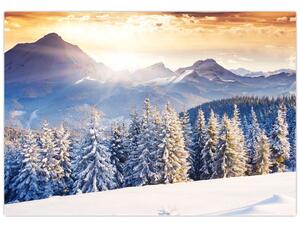 Fotka zimnej krajiny - obraz (Obraz 60x40cm)