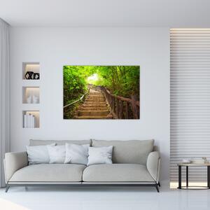 Schody v lese - obraz (Obraz 60x40cm)