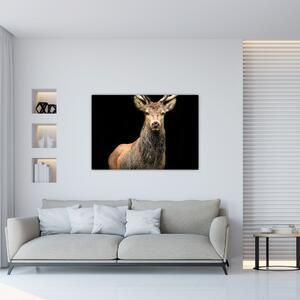 Jelen - obraz (Obraz 60x40cm)