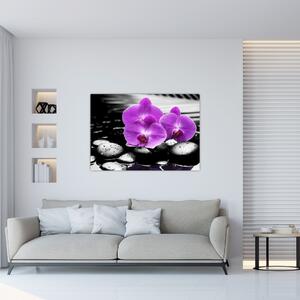 Obraz orchideí (Obraz 60x40cm)