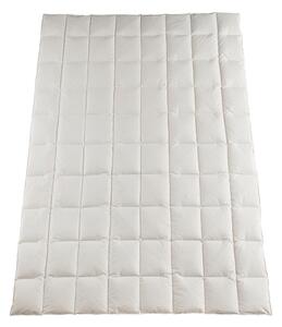 CELOROČNÁ PRIKRÝVKA, 135/200 cm, kačacie páperie, kačacie perie Bio:Vio - Prikrývky & vankúše, Online Only