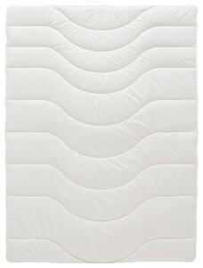CELOROČNÁ PRIKRÝVKA, 135/200 cm, polyester, lyocell, kapok Sleeptex - Prikrývky & vankúše, Online Only