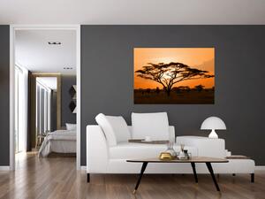 Obraz stromu (Obraz 60x40cm)