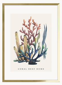 Nástenná dekorácia v ráme Coral Reef Home