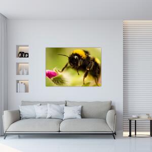 Včela - obraz (Obraz 60x40cm)