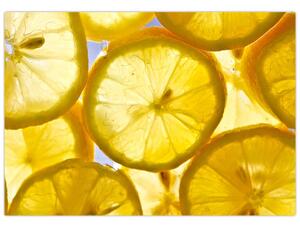 Plátky citrónov - obraz (Obraz 60x40cm)