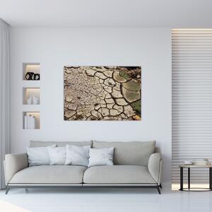 Abstraktný chodník - obraz (Obraz 60x40cm)