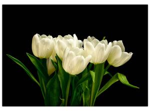 Biele tulipány - obraz (Obraz 60x40cm)