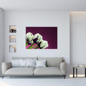 Makro tulipánov - obraz (Obraz 60x40cm)