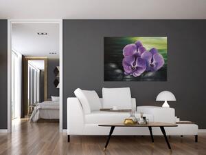Obraz kvetov orchidey (Obraz 60x40cm)