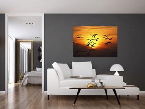 Obraz letiacich vtákov (Obraz 60x40cm)