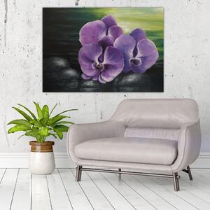 Obraz kvetov orchidey (Obraz 60x40cm)