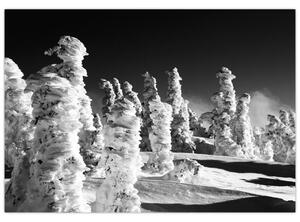 Obraz - zimné hory (Obraz 60x40cm)