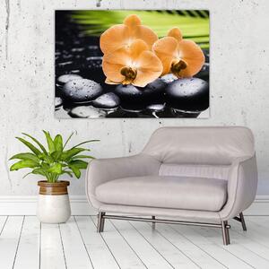 Kvet orchidey - moderný obraz (Obraz 60x40cm)