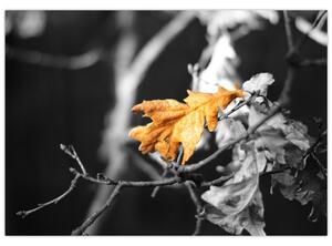 Obraz - prichádzajúce jeseň (Obraz 60x40cm)