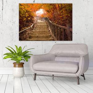 Obraz - schody (Obraz 60x40cm)