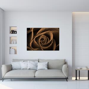 Detail ruže - obraz (Obraz 60x40cm)