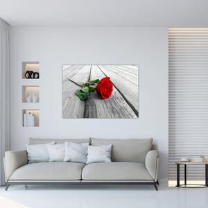 Moderný obraz - ruža (Obraz 60x40cm)