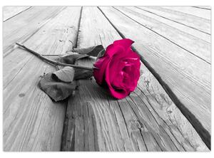 Obrazy kvetov - ruža (Obraz 60x40cm)