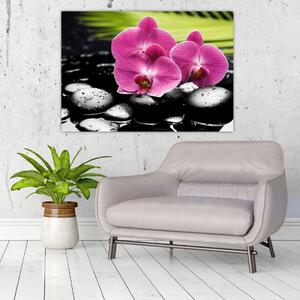 Fotka orchidey (Obraz 60x40cm)