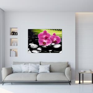 Fotka orchidey (Obraz 60x40cm)