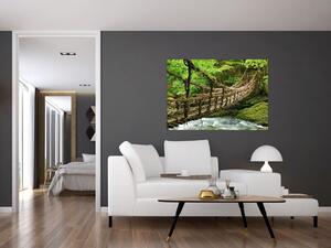 Obraz - most v prírode (Obraz 60x40cm)