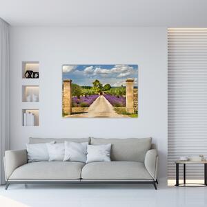 Obraz na stenu (Obraz 60x40cm)