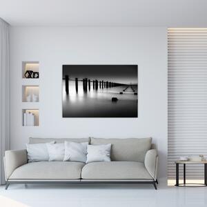 Čiernobiele mora - obraz (Obraz 60x40cm)