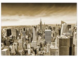 Panorama New York, obraz (Obraz 60x40cm)