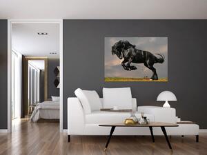 Čierny kôň, obraz (Obraz 60x40cm)
