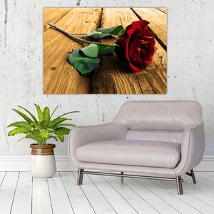 Ležiaci ruža - obraz (Obraz 60x40cm)