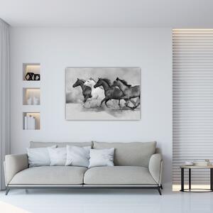 Obraz cválajúci koňov (Obraz 60x40cm)